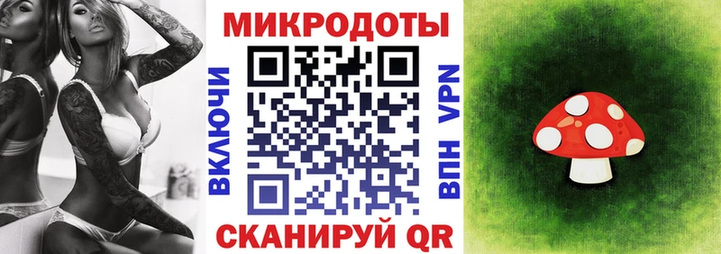 Галлюциногенные грибы Psilocybine cubensis  Бодайбо 